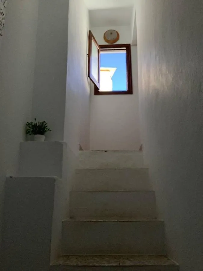 Guest house Banana Surf House Hotel Los Cristianos