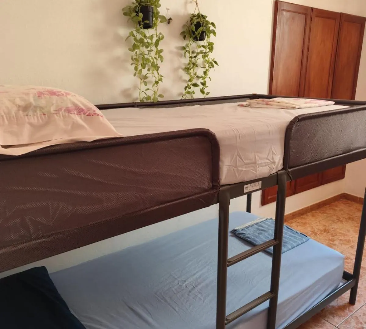 Banana Surf House Hotel Los Cristianos  Guest house Los Cristianos (Tenerife)