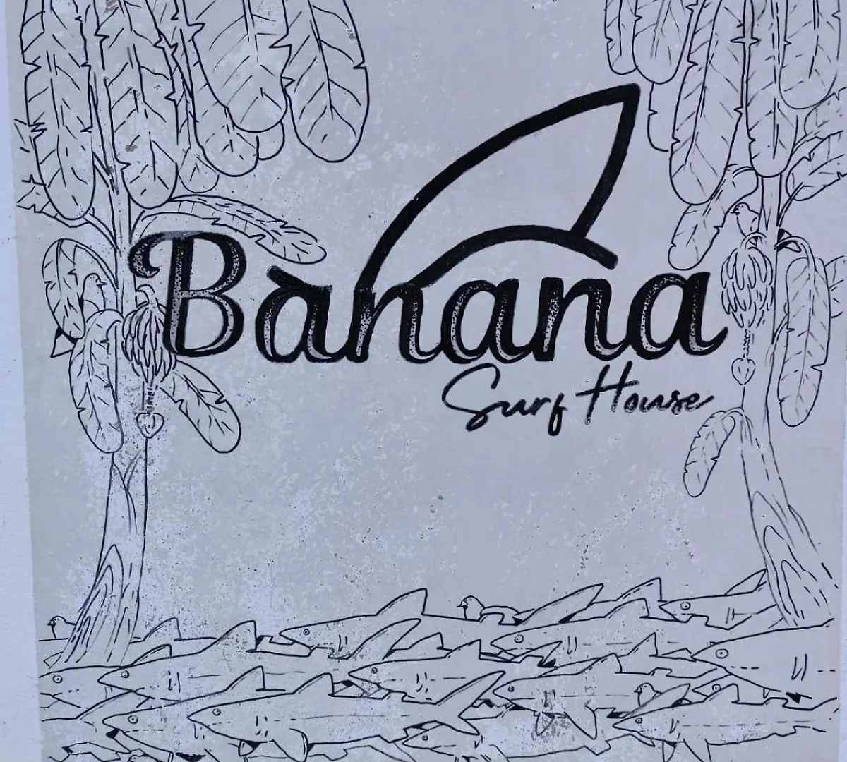 ゲストハウス ホテル Banana Surf House ロスクリスティアーノス